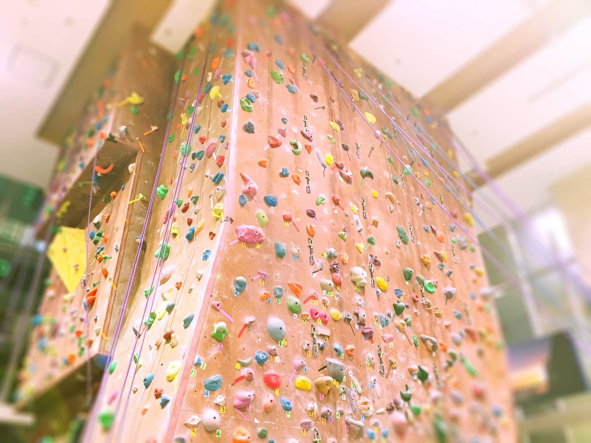 ボルダリング初心者の疑問 調整さん