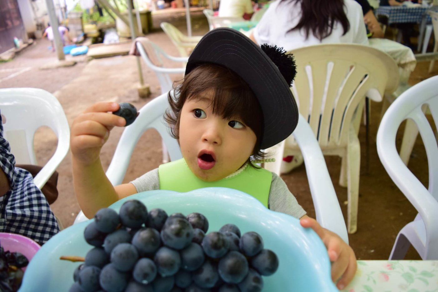東海でぶどう狩りなら愛知!お腹いっぱい食べられる厳選スポット3選 東海でぶどう狩りなら愛知!お腹いっぱい食べられる厳選スポット3選