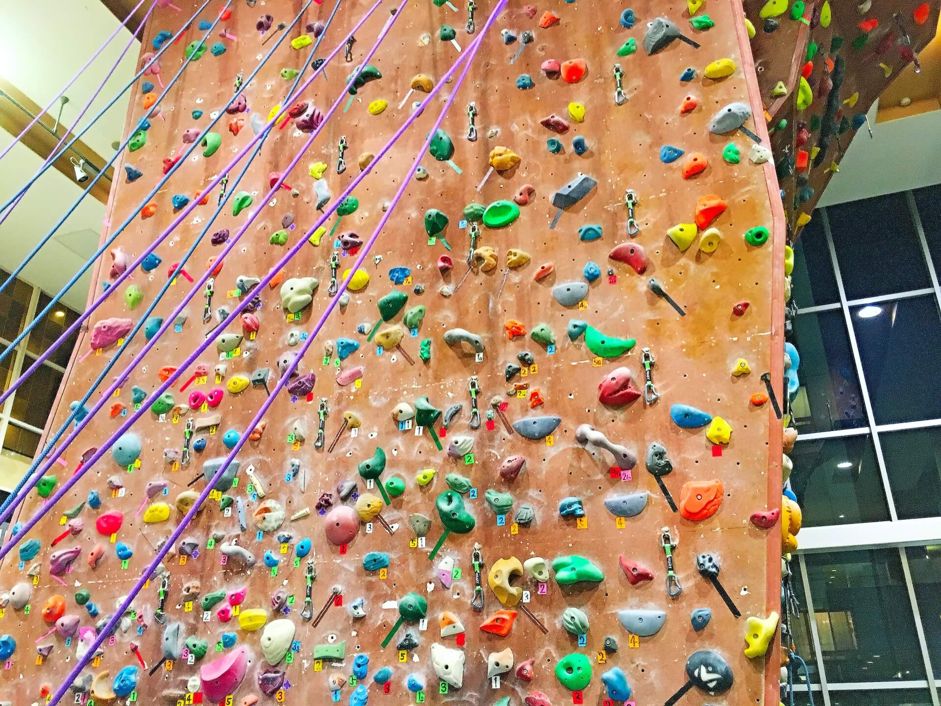 ボルダリング上達 様々なトレーニング法 調整さん